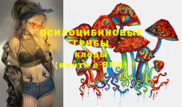 винт Аркадак