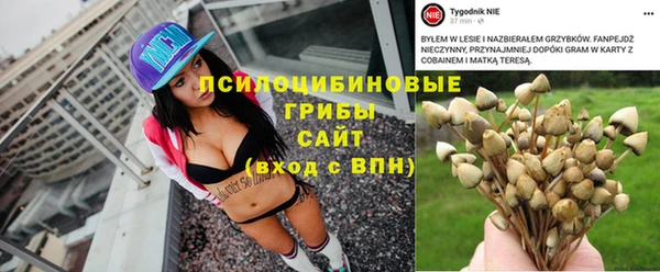 винт Аркадак