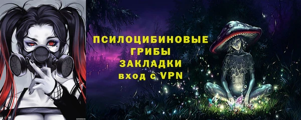 не бодяженный Арсеньев