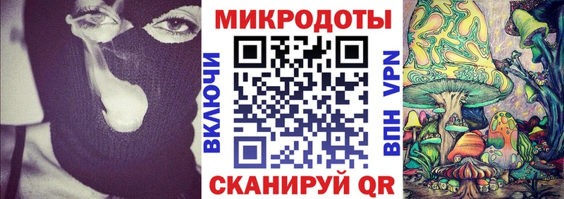 Галлюциногенные грибы Psilocybine cubensis  Мышкин 